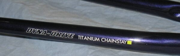 Dyna-Drive Titanium chainstay - close up.jpg