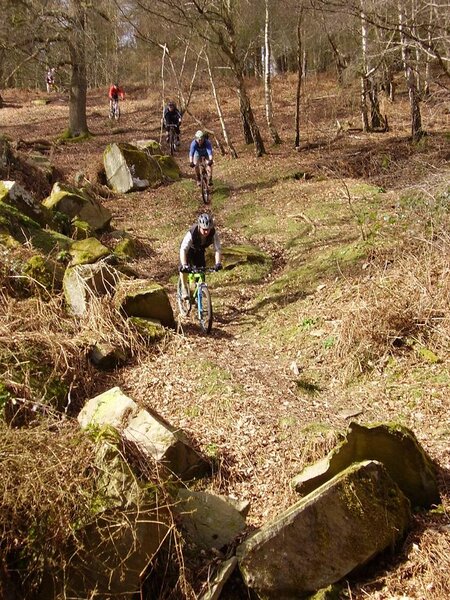 Forest of Dean ride 2.jpg