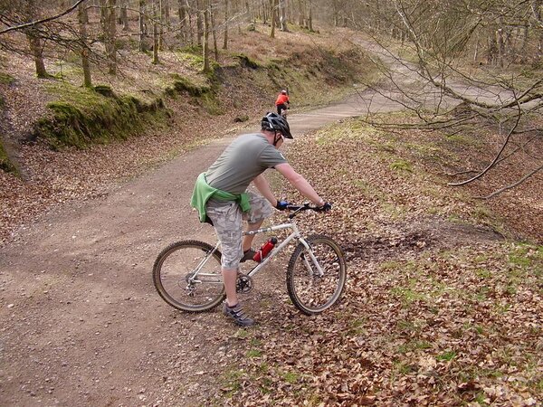 Forest of Dean ride 3.jpg