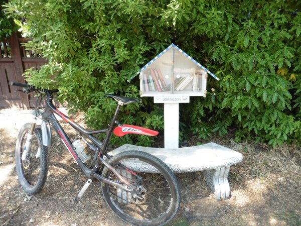 Neighborhood free library.jpg