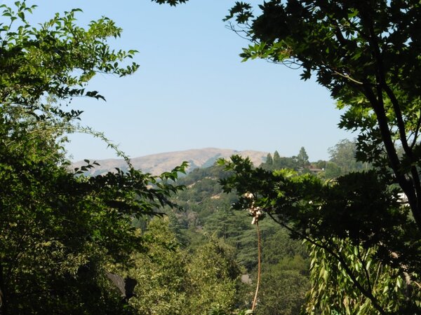 Loma Alta in the distance.jpg