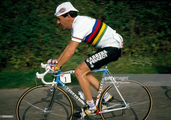 stephenroche2.jpg