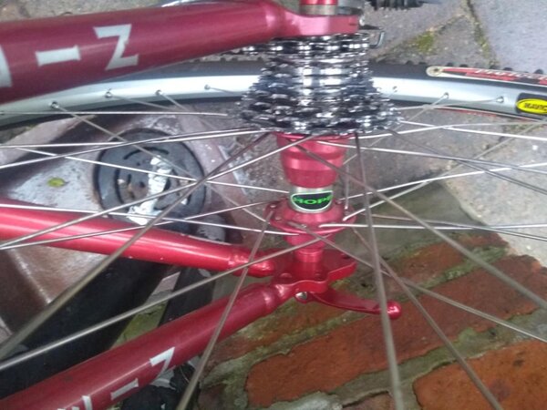 Rear hub.jpg