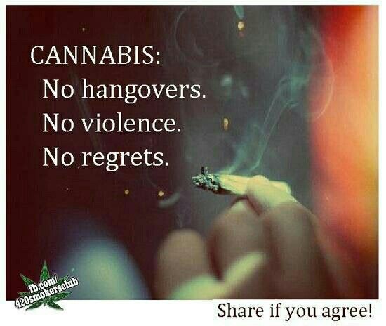 74faea36bbfd61840d5f24931904033f--weed-quotes-marijuana-quotes.jpg