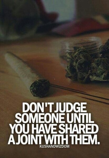 6972142a77a12c498e795de1daf0b483--stoner-quotes-weed-quotes.jpg