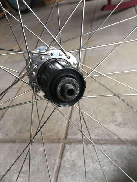 mt-fini-xt-rear-hub.jpg