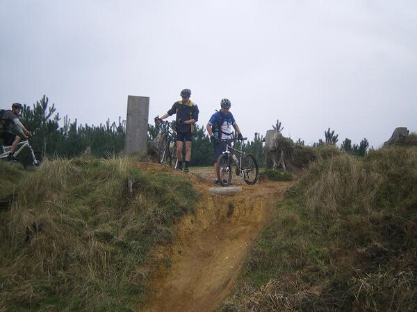 thetford forest kingsalsa(left) niel(middle) and average mark.jpg