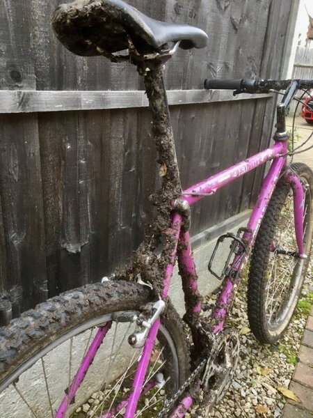 Ashby Canal ride6.jpg