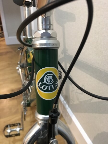 Lotus Campagnolo (3.).JPG