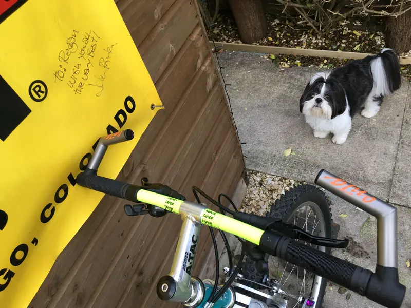 Cockpit and Alfie.webp