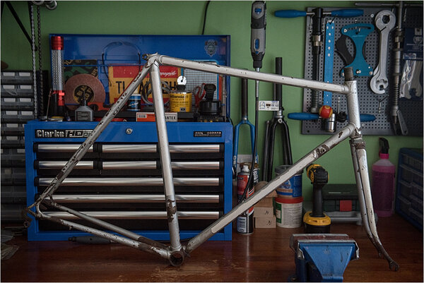 MK5 Professional Frame and Fork rb.jpg