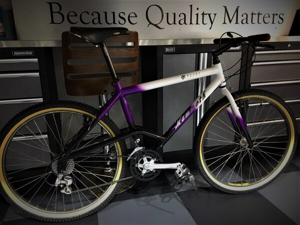 Mammoth RC201 with Original Fork..jpg