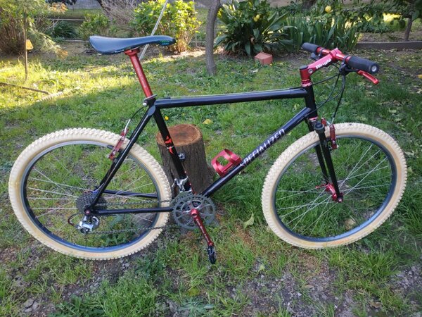 specialize sworks epic 1992.jpg