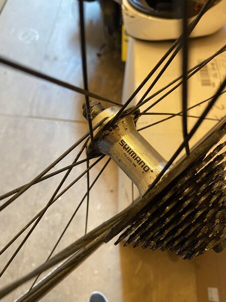 rear cassette-min.jpeg