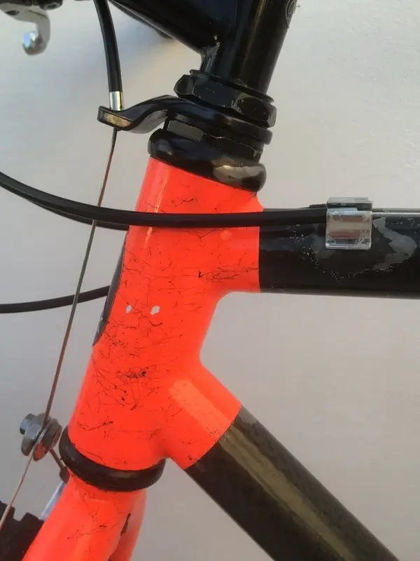 trek head tube detail.jpg