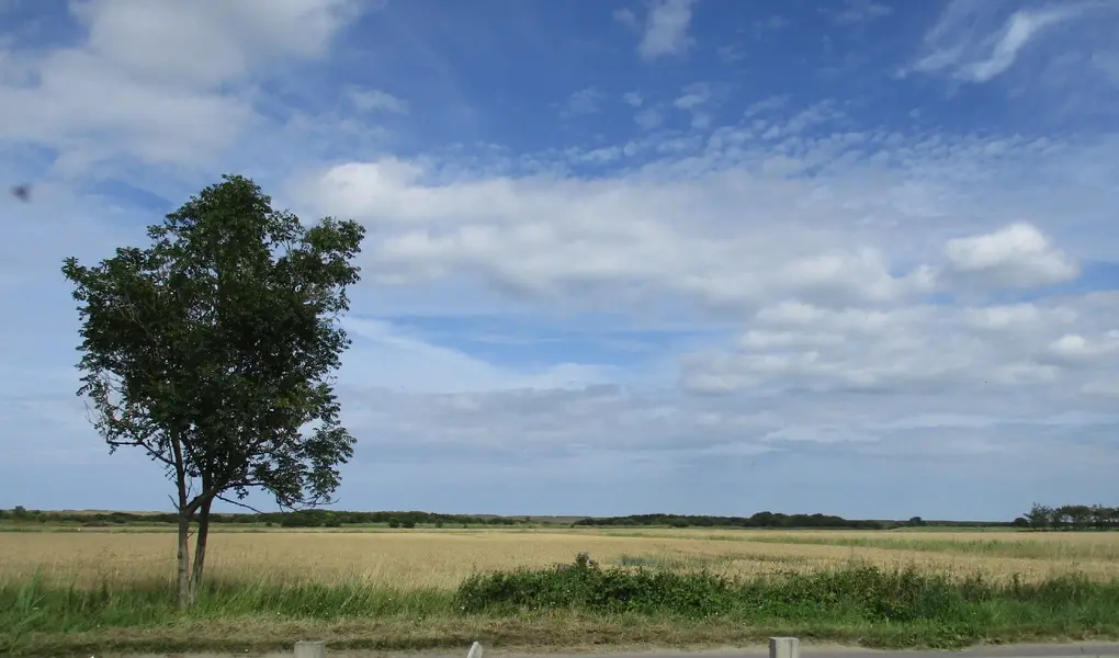 Big Norfolk Sky.webp