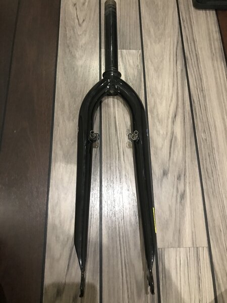 GT Forks 1.JPG