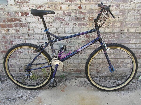 1991 Grove Woods bike.JPG