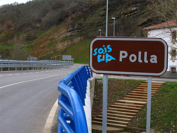 Excursi%F3n-R%EDo-Polla.jpg