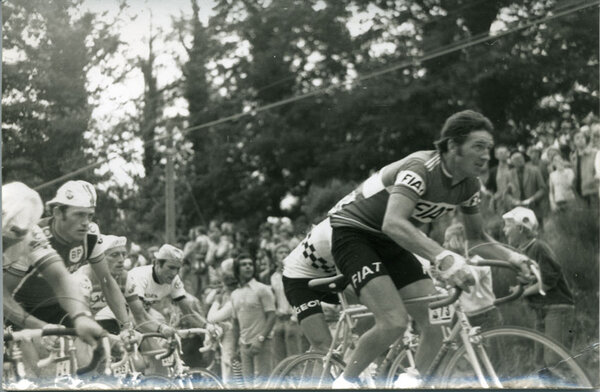 eddy-merckx-tdf-1977.jpg