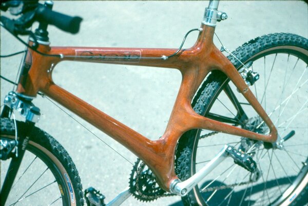 WoodBike_1.jpg