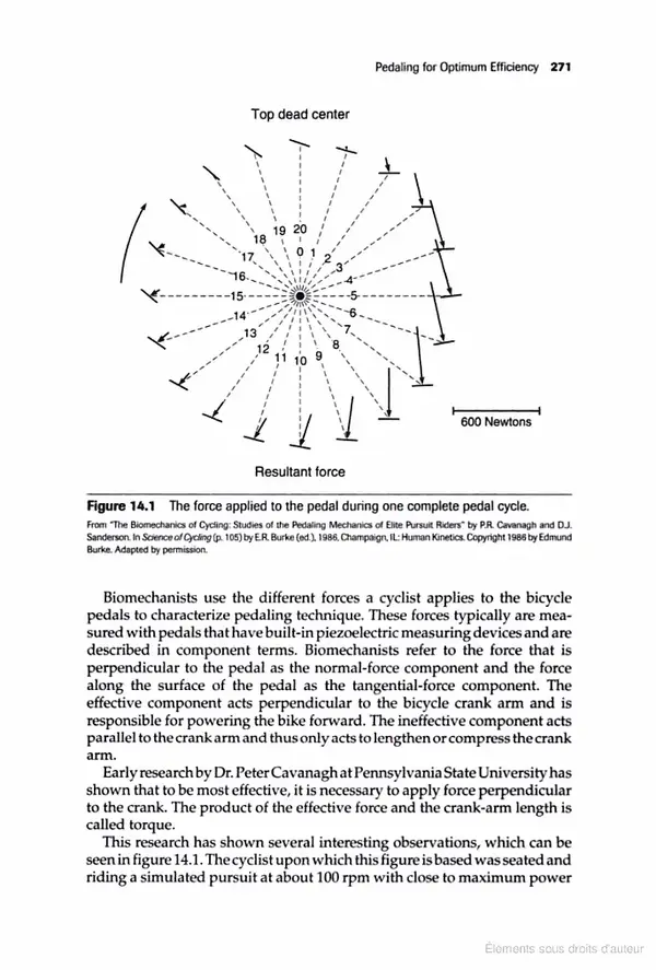 pedal forces.webp