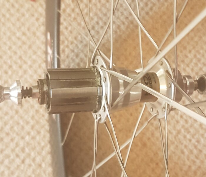 Campag8 freehub sm.jpeg