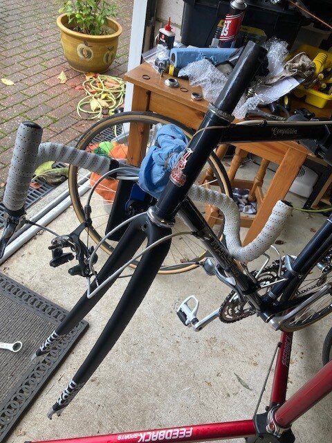 New Fork In Situ.jpg