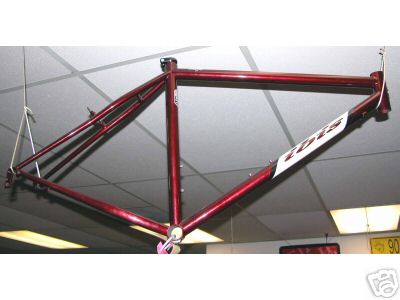 Ibis Mojo 2001 frame.jpg