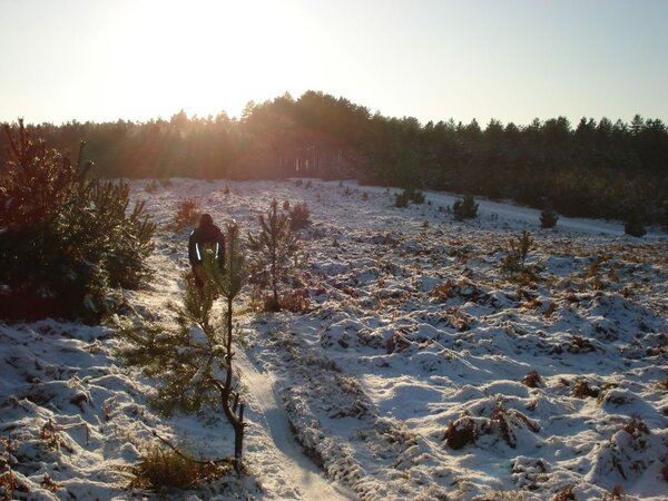 snowy singletrack.jpg