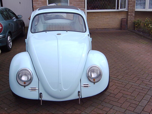 beetle 005.jpg