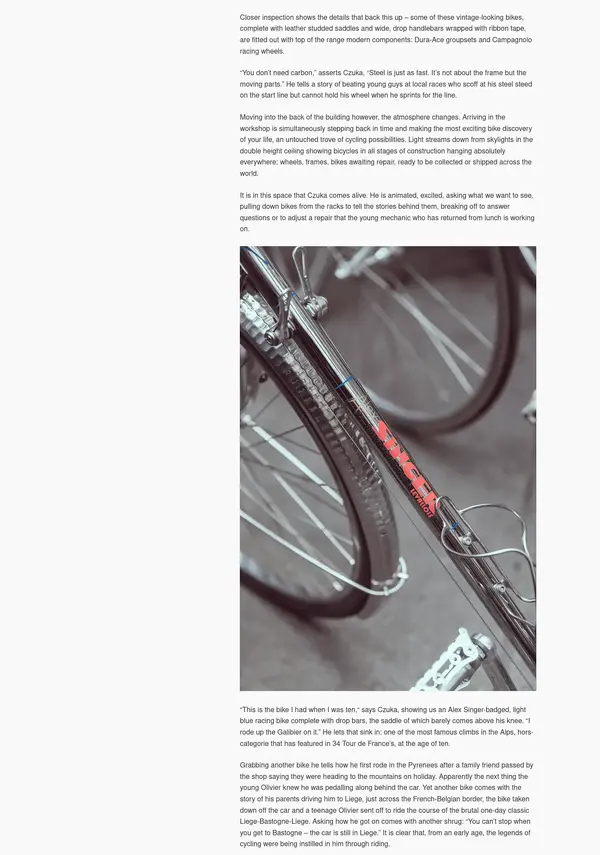 Alex Singer cycles 3.webp