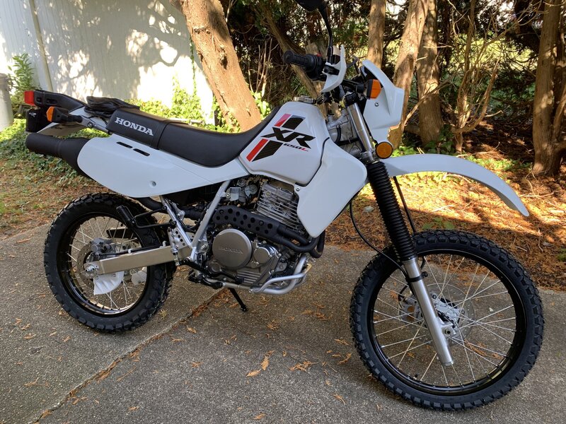 2022 XR650L 2.jpg