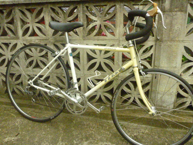 Terry bike 001.JPG