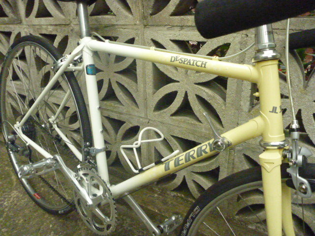 Terry bike 002.JPG