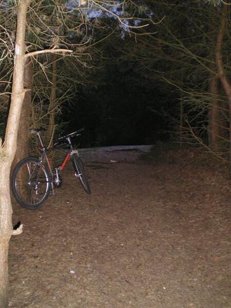 050510 nightride.jpg