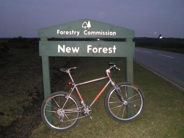 050510 024new forest.jpg