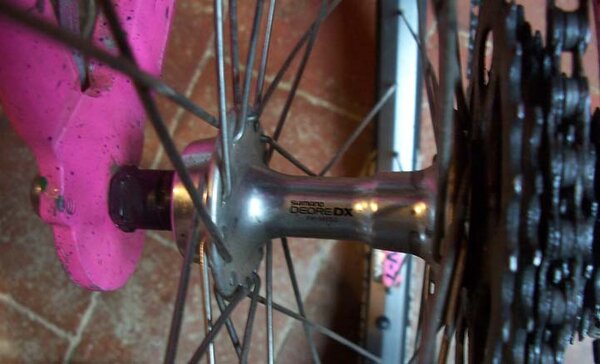 g-rear hub.jpg