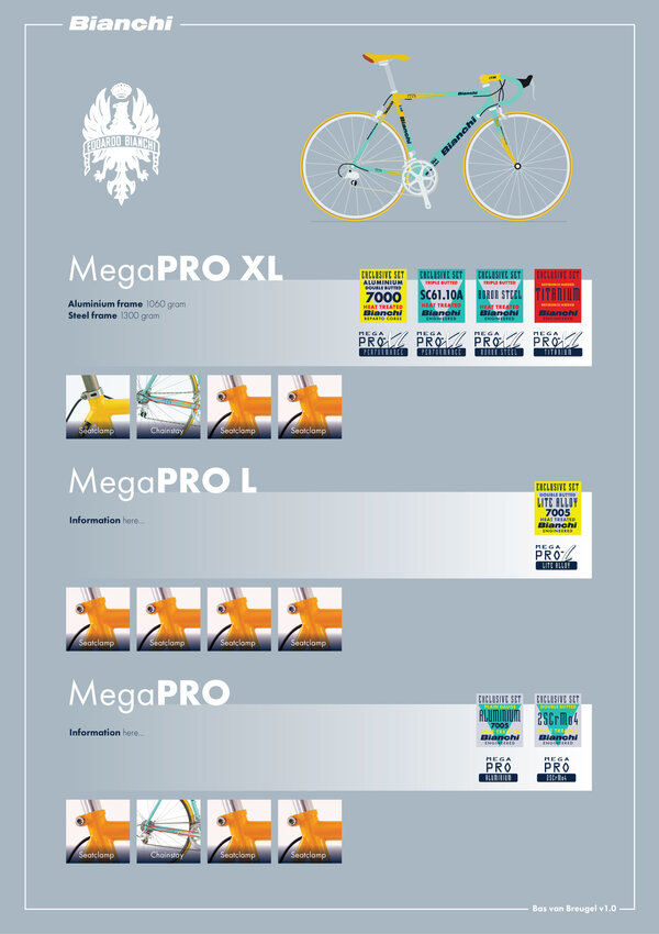 Bianchi_MegaPro_Infographic_A4.jpg