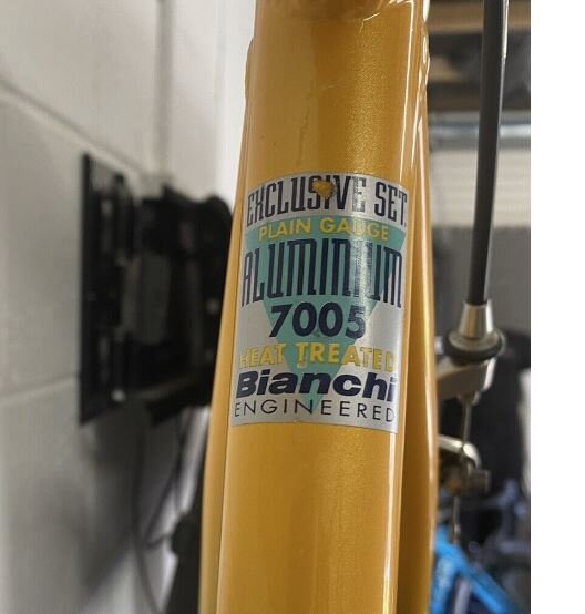 bianchi 7005.JPG