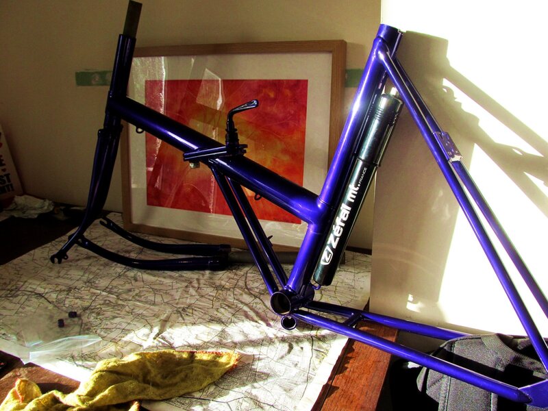 Frame and forks (2).JPG