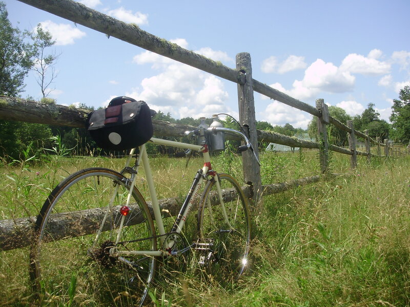 bike corral2.JPG