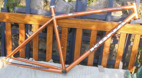 1994 Cinder Cone frame size 18 bronze rhs.jpg