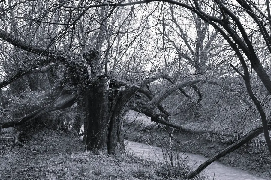 Wellingborough stream B&W 1.jpg