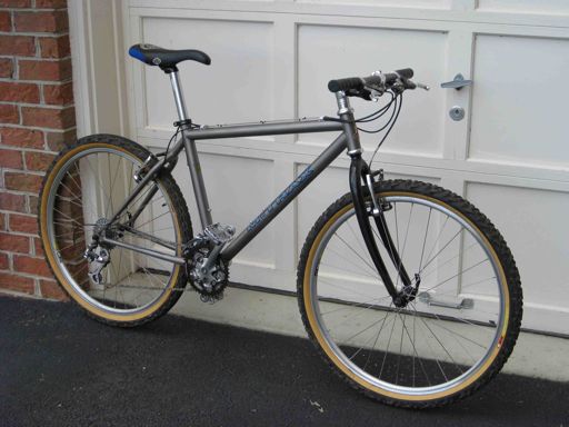 Raleigh MTrax 300 Elite AB.jpg