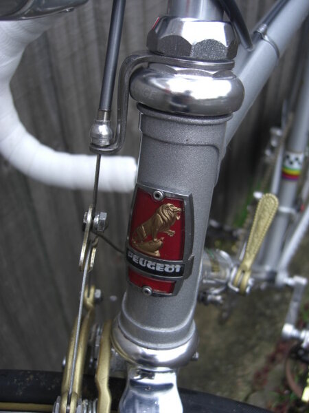 6 Peugeot Head Badge.JPG