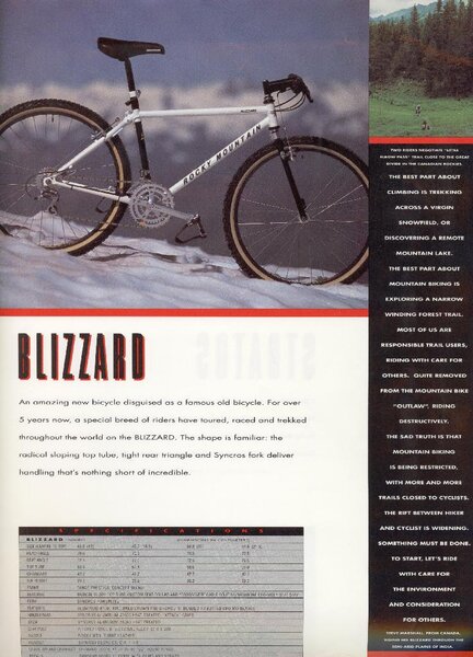 1991RMBblizz (Custom).jpg