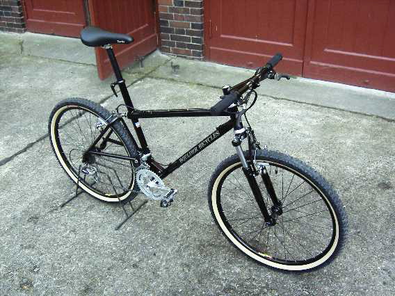 January 2007 BOTM - Felix's Boulder Gazelle.jpg