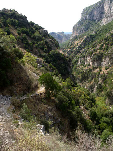 Koskarakos-gorge-2.jpg