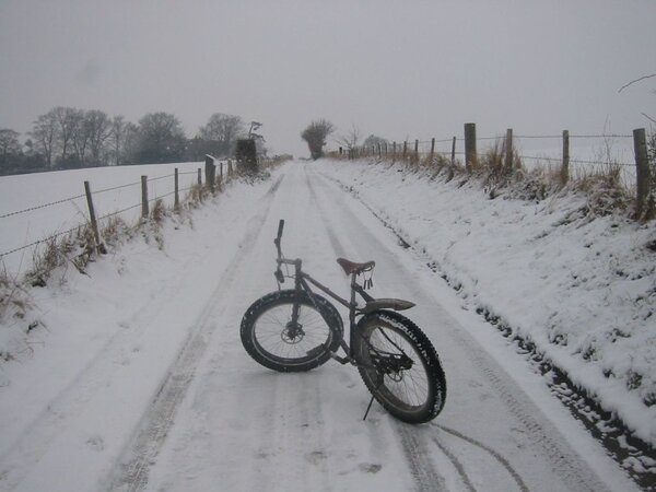 Pugsley in the snow.jpg